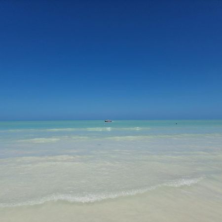 Luna Y Sol Glamping Holbox Екстер'єр фото